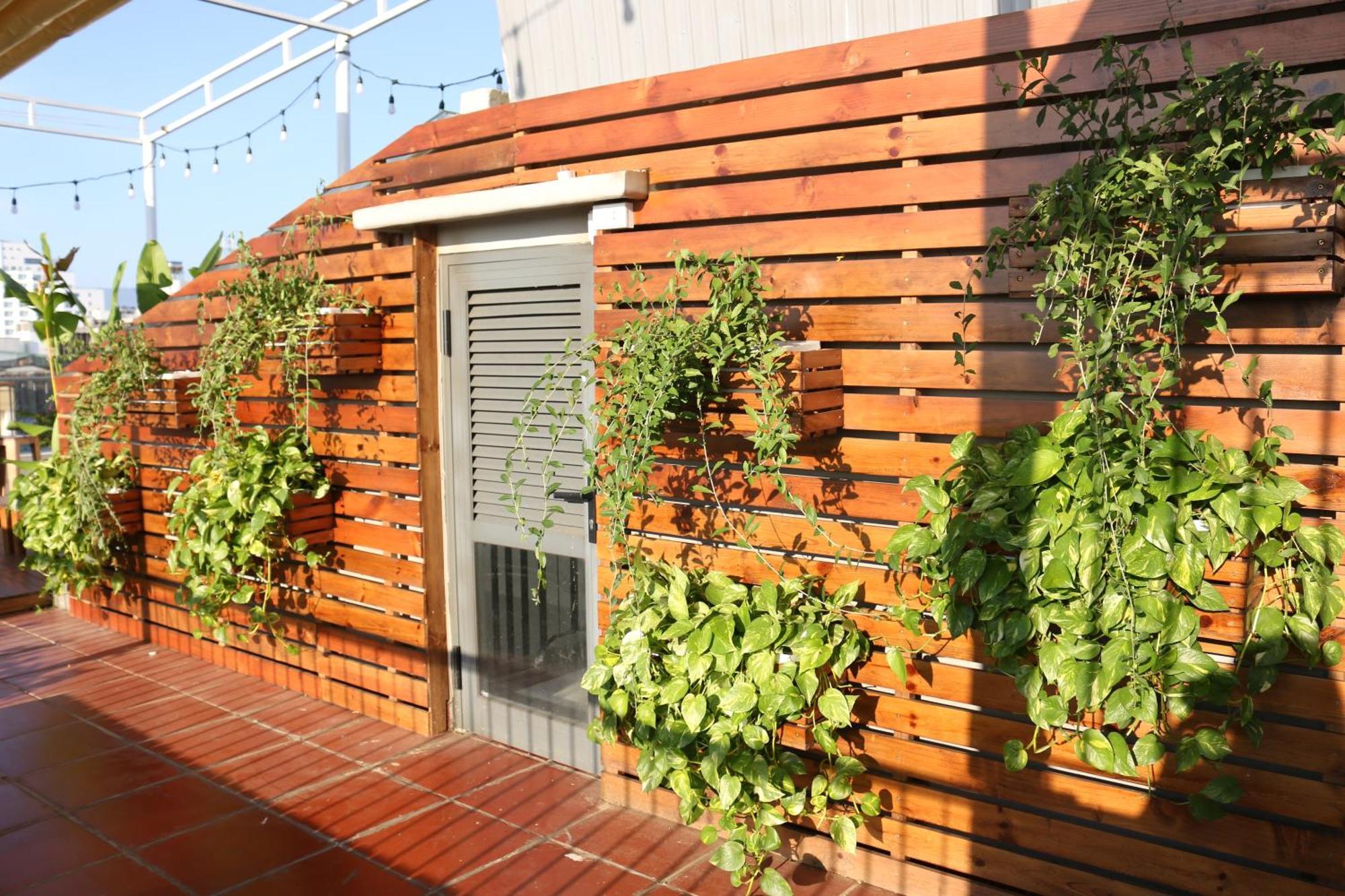 דה נאנג Mira De Sol Homestay מראה חיצוני תמונה